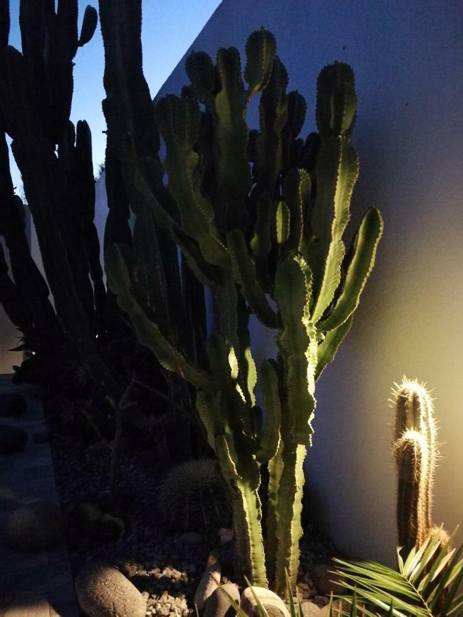 הוילה לאס נגראס Casa Euphorbia מראה חיצוני תמונה
